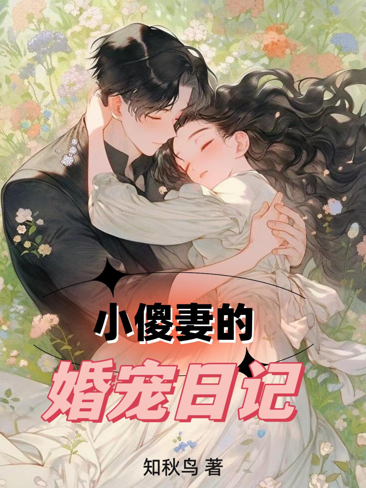 小傻妻 作者:汝锦